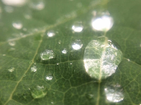 Droplets